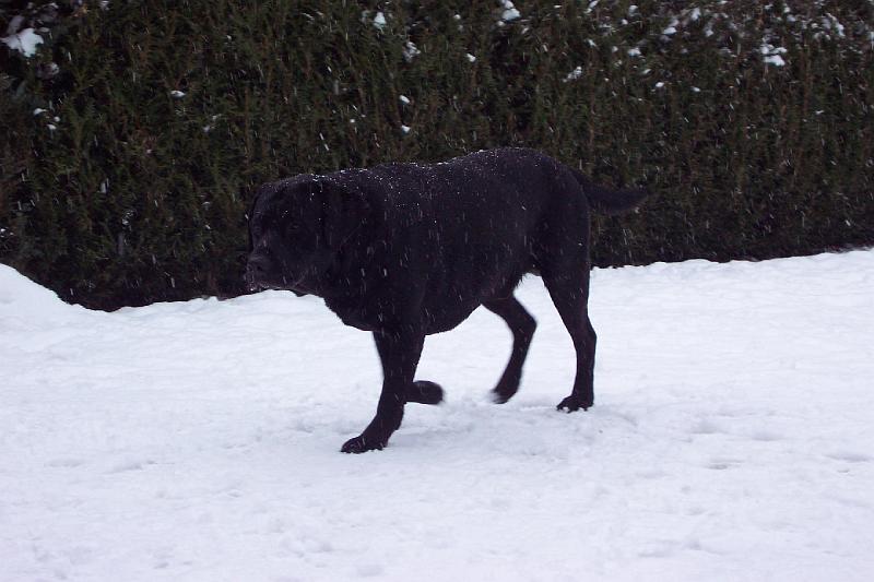 02-022-003 055.jpg